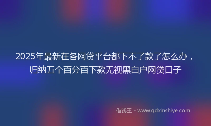 2025年最新在各网贷平台都下不了款了怎么办，归纳五个百分百下款无视黑白户网贷口子
