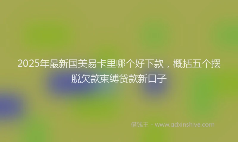2025年最新国美易卡里哪个好下款，概括五个摆脱欠款束缚贷款新口子