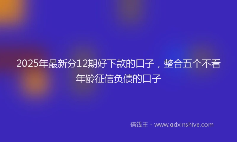 2025年最新分12期好下款的口子，整合五个不看年龄征信负债的口子