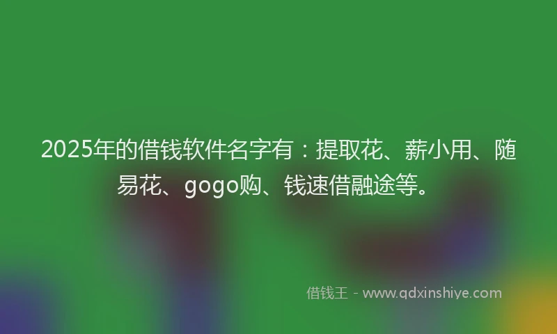 2025年的借钱软件名字有：提取花、薪小用、随易花、gogo购、钱速借融途等。