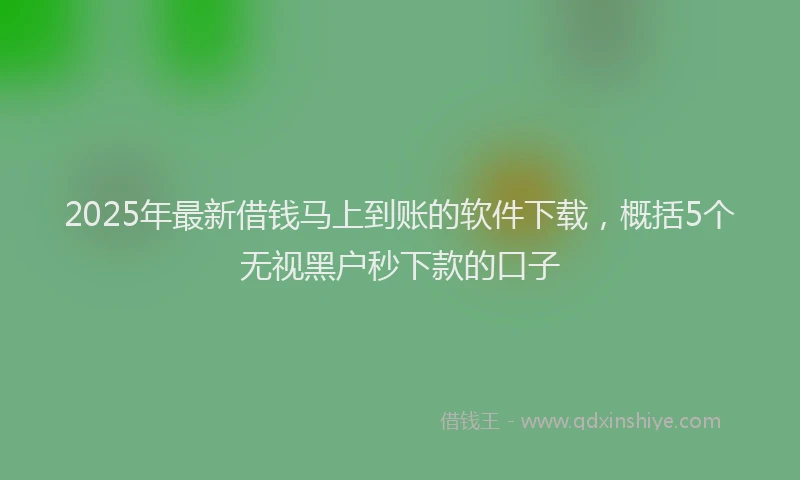 2025年最新借钱马上到账的软件下载，概括5个无视黑户秒下款的口子