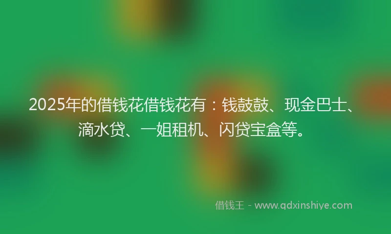 2025年的借钱花借钱花有：钱鼓鼓、现金巴士、滴水贷、一姐租机、闪贷宝盒等。