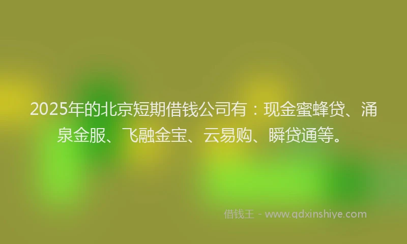 2025年的北京短期借钱公司有：现金蜜蜂贷、涌泉金服、飞融金宝、云易购、瞬贷通等。