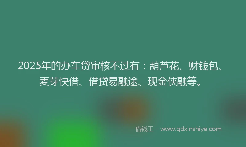 2025年的办车贷审核不过有：葫芦花、财钱包、麦芽快借、借贷易融途、现金侠融等。