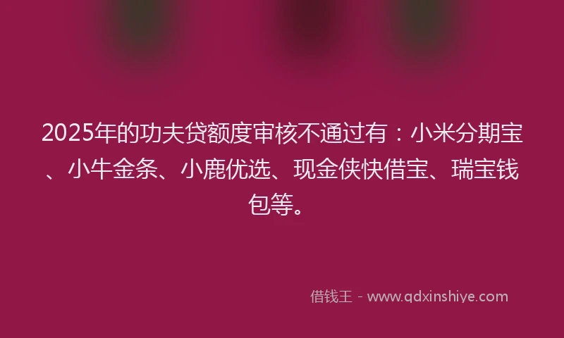 2025年的功夫贷额度审核不通过有：小米分期宝、小牛金条、小鹿优选、现金侠快借宝、瑞宝钱包等。
