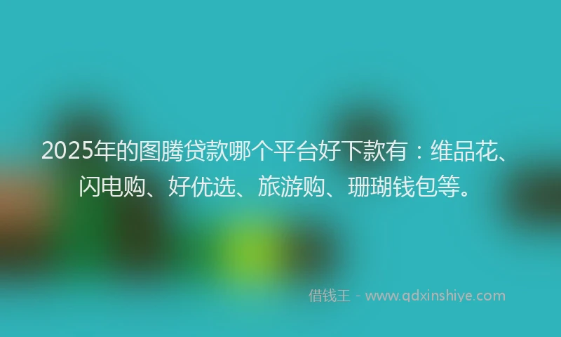 2025年的图腾贷款哪个平台好下款有：维品花、闪电购、好优选、旅游购、珊瑚钱包等。