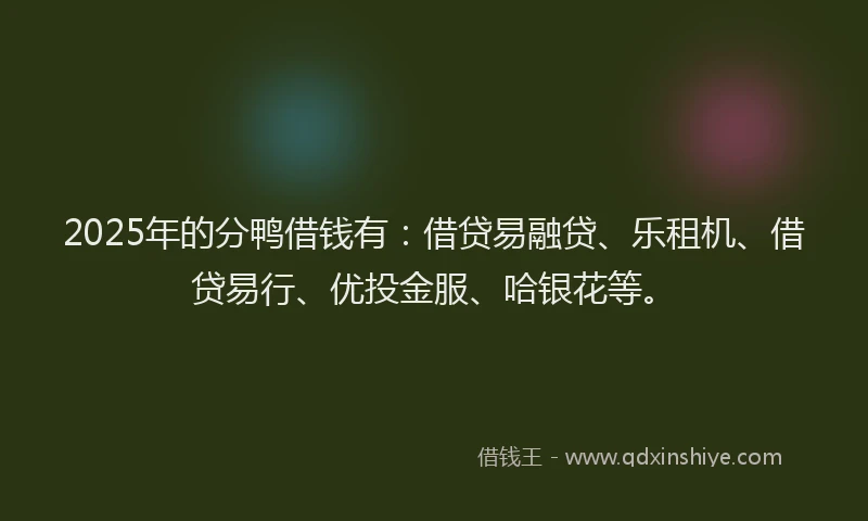 2025年的分鸭借钱有：借贷易融贷、乐租机、借贷易行、优投金服、哈银花等。