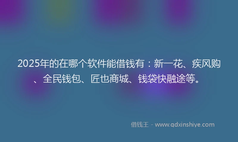 2025年的在哪个软件能借钱有：新一花、疾风购、全民钱包、匠也商城、钱袋快融途等。