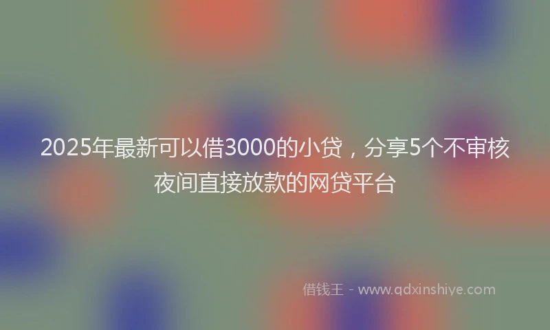 2025年最新可以借3000的小贷，分享5个不审核夜间直接放款的网贷平台