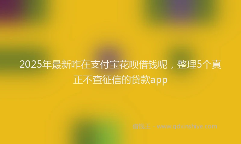 2025年最新咋在支付宝花呗借钱呢，整理5个真正不查征信的贷款app