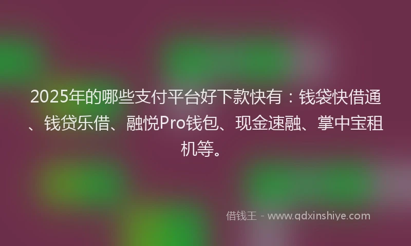 2025年的哪些支付平台好下款快有：钱袋快借通、钱贷乐借、融悦Pro钱包、现金速融、掌中宝租机等。
