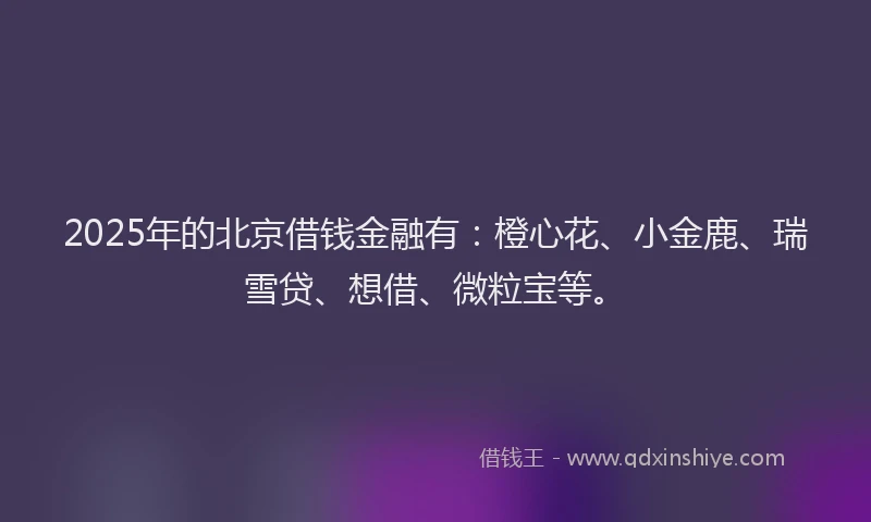 2025年的北京借钱金融有：橙心花、小金鹿、瑞雪贷、想借、微粒宝等。