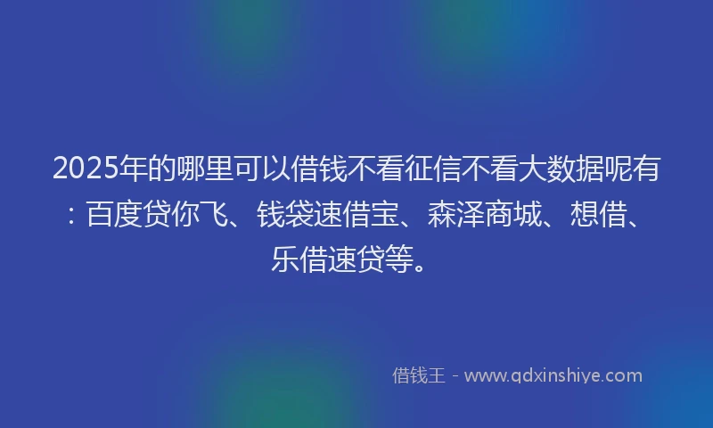 2025年的哪里可以借钱不看征信不看大数据呢有：百度贷你飞、钱袋速借宝、森泽商城、想借、乐借速贷等。