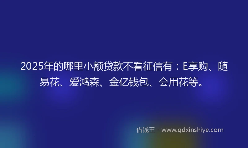 2025年的哪里小额贷款不看征信有：E享购、随易花、爱鸿森、金亿钱包、会用花等。