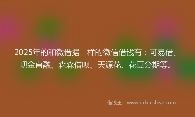 2025年的和微借据一样的微信借钱有：可易借、现金直融、森森借呗、天源花、花豆分期等。