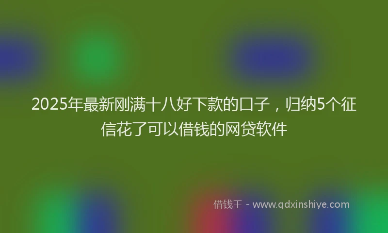2025年最新刚满十八好下款的口子，归纳5个征信花了可以借钱的网贷软件