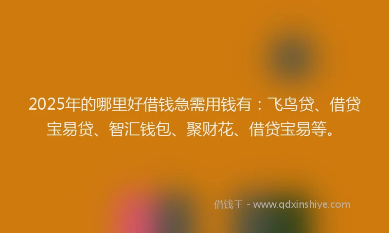 2025年的哪里好借钱急需用钱有：飞鸟贷、借贷宝易贷、智汇钱包、聚财花、借贷宝易等。