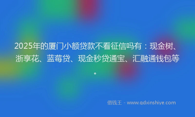 2025年的厦门小额贷款不看征信吗有：现金树、浙享花、蓝莓贷、现金秒贷通宝、汇融通钱包等。