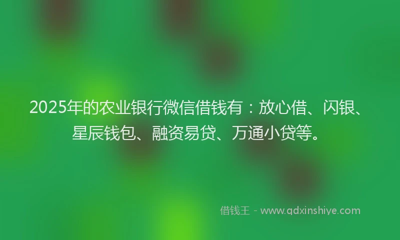 2025年的农业银行微信借钱有：放心借、闪银、星辰钱包、融资易贷、万通小贷等。
