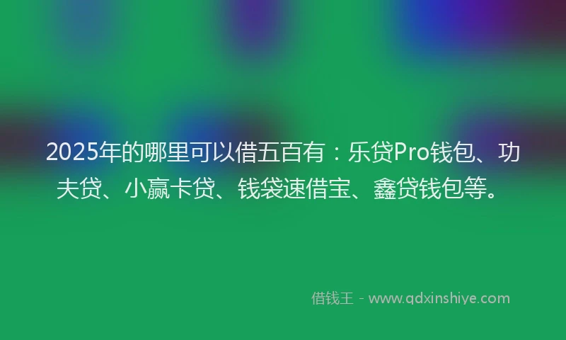 2025年的哪里可以借五百有：乐贷Pro钱包、功夫贷、小赢卡贷、钱袋速借宝、鑫贷钱包等。