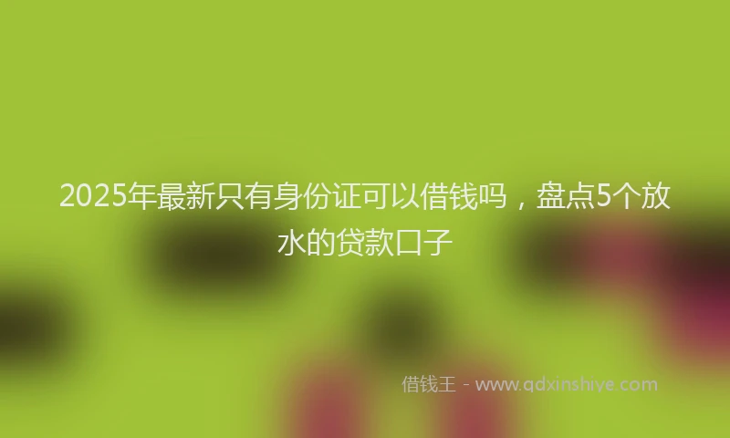 2025年最新只有身份证可以借钱吗，盘点5个放水的贷款口子