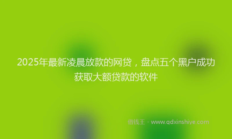 2025年最新凌晨放款的网贷，盘点五个黑户成功获取大额贷款的软件