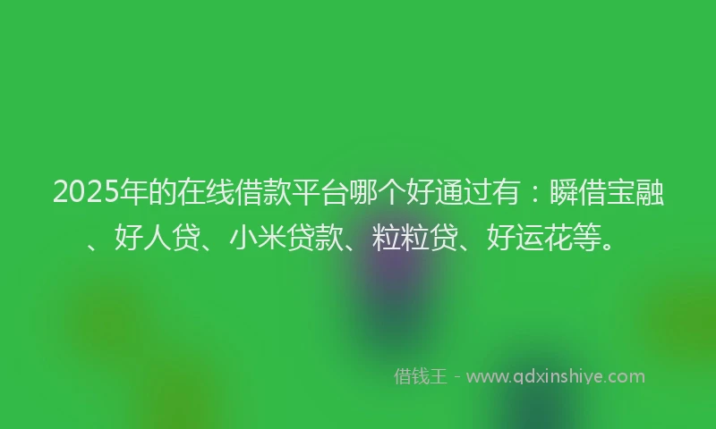 2025年的在线借款平台哪个好通过有：瞬借宝融、好人贷、小米贷款、粒粒贷、好运花等。