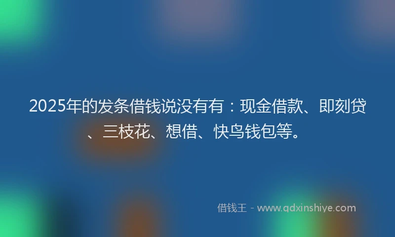 2025年的发条借钱说没有有：现金借款、即刻贷、三枝花、想借、快鸟钱包等。