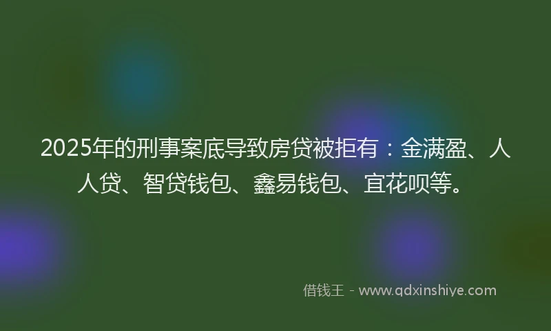 2025年的刑事案底导致房贷被拒有：金满盈、人人贷、智贷钱包、鑫易钱包、宜花呗等。