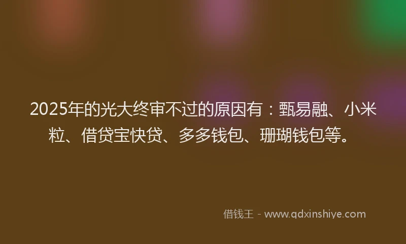 2025年的光大终审不过的原因有：甄易融、小米粒、借贷宝快贷、多多钱包、珊瑚钱包等。