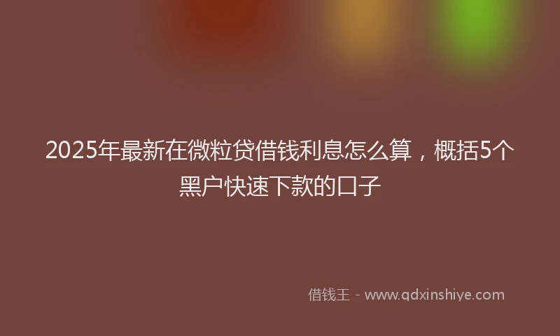 2025年最新在微粒贷借钱利息怎么算，概括5个黑户快速下款的口子