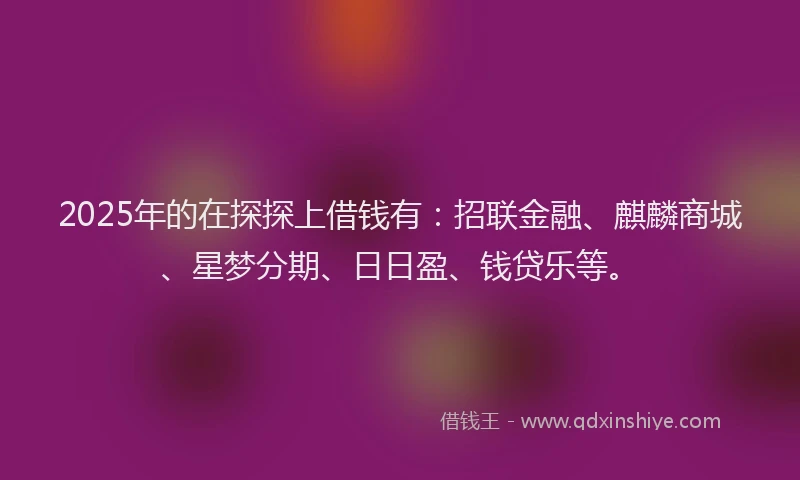 2025年的在探探上借钱有：招联金融、麒麟商城、星梦分期、日日盈、钱贷乐等。