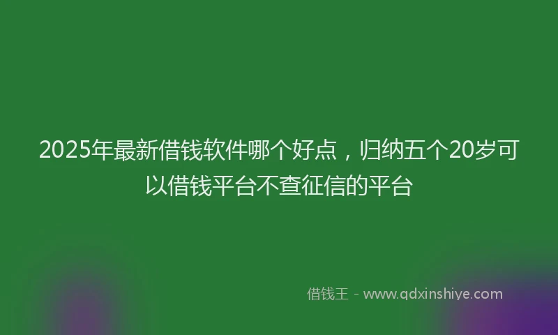 2025年最新借钱软件哪个好点，归纳五个20岁可以借钱平台不查征信的平台