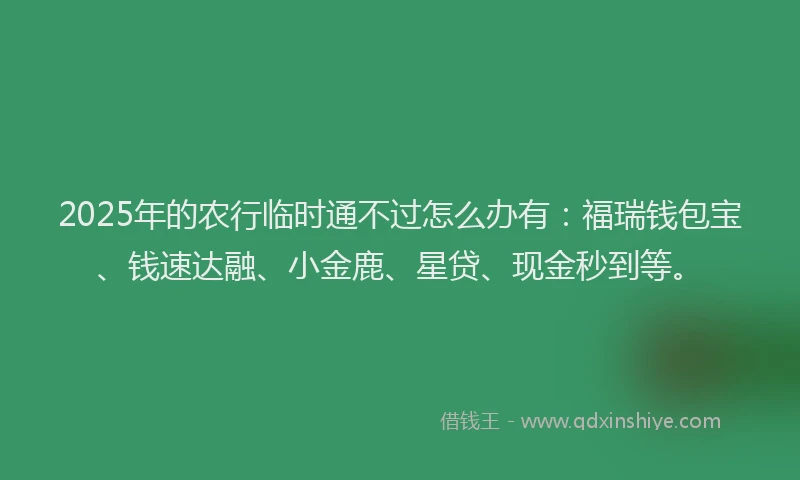 2025年的农行临时通不过怎么办有：福瑞钱包宝、钱速达融、小金鹿、星贷、现金秒到等。