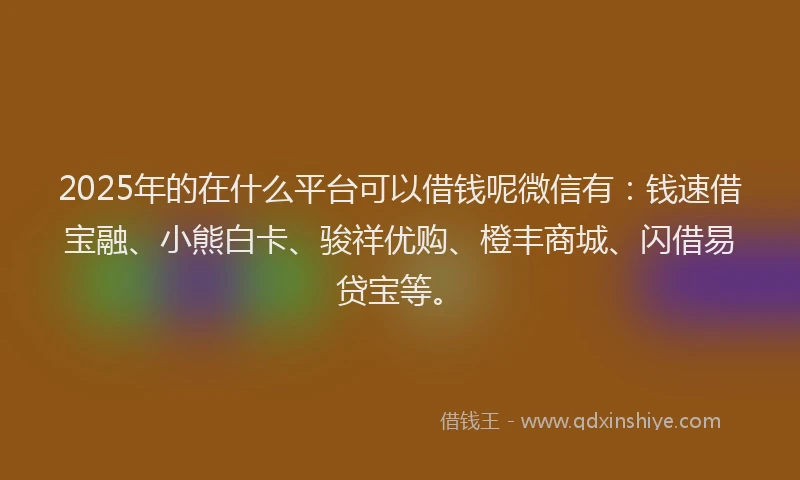 2025年的在什么平台可以借钱呢微信有：钱速借宝融、小熊白卡、骏祥优购、橙丰商城、闪借易贷宝等。