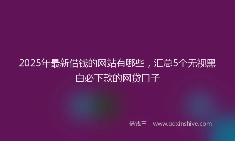 2025年最新借钱的网站有哪些，汇总5个无视黑白必下款的网贷口子