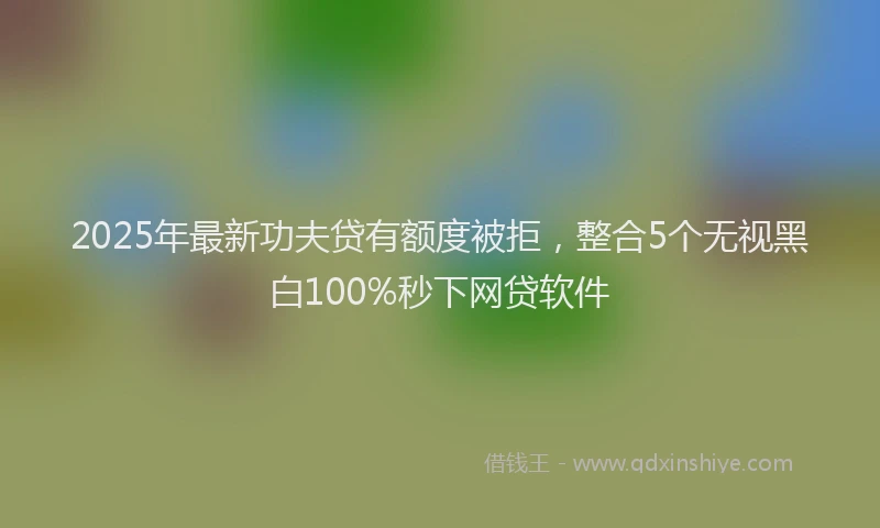 2025年最新功夫贷有额度被拒，整合5个无视黑白100%秒下网贷软件