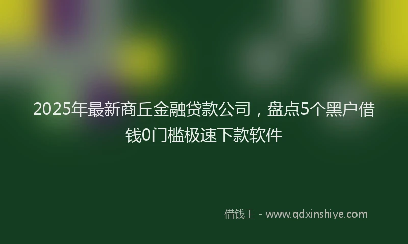 2025年最新商丘金融贷款公司，盘点5个黑户借钱0门槛极速下款软件