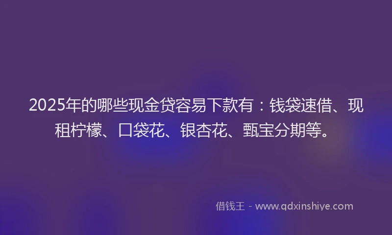 2025年的哪些现金贷容易下款有：钱袋速借、现租柠檬、口袋花、银杏花、甄宝分期等。