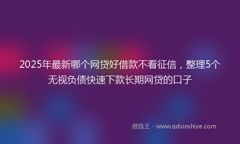 2025年最新哪个网贷好借款不看征信，整理5个无视负债快速下款长期网贷的口子