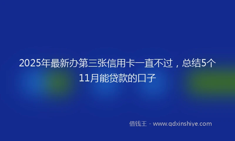 2025年最新办第三张信用卡一直不过，总结5个11月能贷款的口子