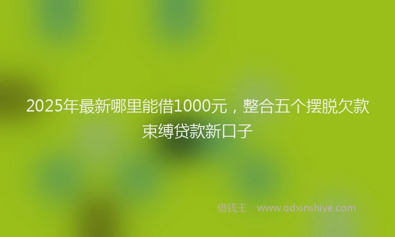 2025年最新哪里能借1000元，整合五个摆脱欠款束缚贷款新口子