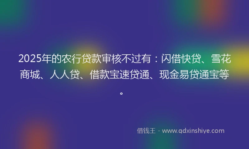 2025年的农行贷款审核不过有：闪借快贷、雪花商城、人人贷、借款宝速贷通、现金易贷通宝等。