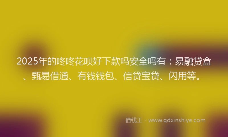 2025年的咚咚花呗好下款吗安全吗有：易融贷盒、甄易借通、有钱钱包、信贷宝贷、闪用等。