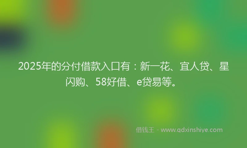 2025年的分付借款入口有：新一花、宜人贷、星闪购、58好借、e贷易等。