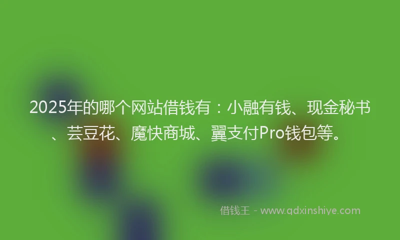2025年的哪个网站借钱有：小融有钱、现金秘书、芸豆花、魔快商城、翼支付Pro钱包等。