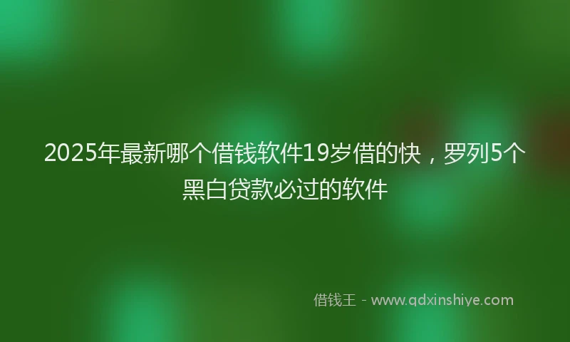 2025年最新哪个借钱软件19岁借的快，罗列5个黑白贷款必过的软件