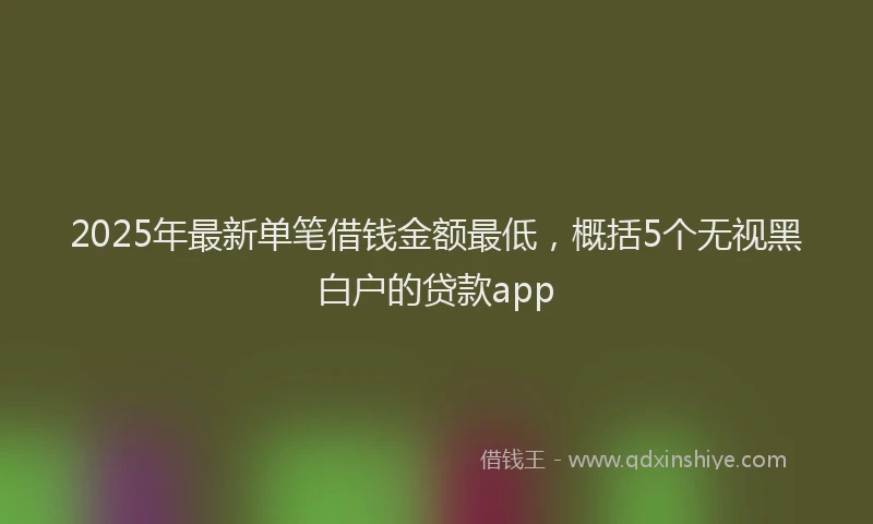 2025年最新单笔借钱金额最低，概括5个无视黑白户的贷款app