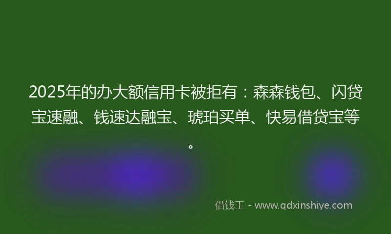 2025年的办大额信用卡被拒有：森森钱包、闪贷宝速融、钱速达融宝、琥珀买单、快易借贷宝等。
