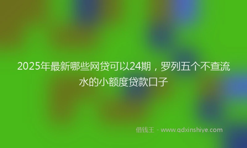 2025年最新哪些网贷可以24期，罗列五个不查流水的小额度贷款口子